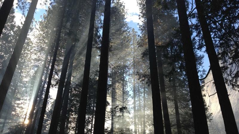 कविता: हिमालको छायाँमा